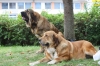 Filename=IMG-4221.jpg
Filesize=108KiB
Dimensions=1200x800
Date added=%938 %29, %2012 IMG-4221.jpg