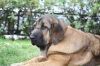 Filename=IMG-4222.jpg
Filesize=80KiB
Dimensions=1200x800
Date added=%939 %29, %2012 IMG-4222.jpg