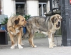 Filename=IMG-4223.jpg
Filesize=78KiB
Dimensions=1200x929
Date added=%939 %29, %2012 IMG-4223.jpg