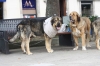 Filename=IMG-4224.jpg
Filesize=89KiB
Dimensions=1200x800
Date added=%939 %29, %2012 IMG-4224.jpg