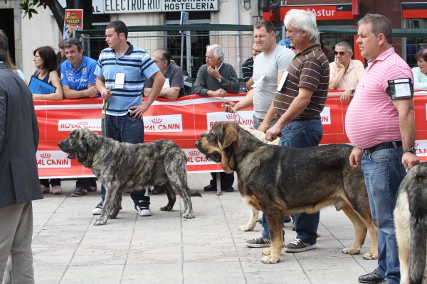 Young Class Males - Luarca, Asturias, Spain (AEPME), 21.07.2012
Keywords: 2012