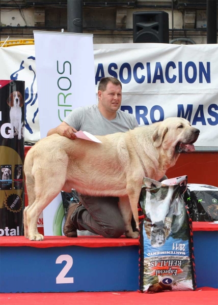 Axel de Villapedre: EXC 2 - Young Class Males, Luarca, Asturias, Spain (AEPME), 21.07.2012
Anahtar kelimeler: 2012