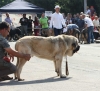Filename=IMG-4828.jpg
Filesize=131KiB
Dimensions=1200x1101
Date added=%723 %12, %2012 IMG-4828.jpg