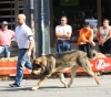 Filename=IMG-4885.jpg
Filesize=126KiB
Dimensions=1200x1056
Date added=%723 %12, %2012 IMG-4885.jpg