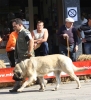 Filename=IMG-4890.jpg
Filesize=125KiB
Dimensions=1092x1200
Date added=%723 %12, %2012 IMG-4890.jpg