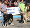 Filename=IMG-4895.jpg
Filesize=171KiB
Dimensions=1200x1122
Date added=%723 %12, %2012 IMG-4895.jpg