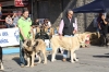 Filename=IMG-4896.jpg
Filesize=131KiB
Dimensions=1200x800
Date added=%723 %12, %2012 IMG-4896.jpg