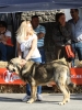 Filename=IMG-4897.jpg
Filesize=134KiB
Dimensions=906x1200
Date added=%723 %12, %2012 IMG-4897.jpg