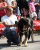 Filename=IMG-4899.jpg
Filesize=110KiB
Dimensions=953x1200
Date added=%723 %12, %2012 IMG-4899.jpg