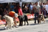 Filename=IMG-4900.jpg
Filesize=123KiB
Dimensions=1200x807
Date added=%723 %12, %2012 IMG-4900.jpg