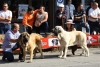 Filename=IMG-4902.jpg
Filesize=131KiB
Dimensions=1200x808
Date added=%723 %12, %2012 IMG-4902.jpg