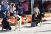 Filename=IMG-4904.jpg
Filesize=127KiB
Dimensions=1200x810
Date added=%723 %12, %2012 IMG-4904.jpg