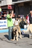 Filename=IMG-4906.jpg
Filesize=120KiB
Dimensions=800x1200
Date added=%723 %12, %2012 IMG-4906.jpg