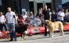 Filename=IMG-4908.jpg
Filesize=128KiB
Dimensions=1200x751
Date added=%723 %12, %2012 IMG-4908.jpg