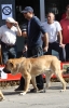 Filename=IMG-4909.jpg
Filesize=105KiB
Dimensions=768x1200
Date added=%723 %12, %2012 IMG-4909.jpg