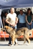 Filename=IMG-4911.jpg
Filesize=117KiB
Dimensions=821x1200
Date added=%723 %12, %2012 IMG-4911.jpg