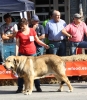 Filename=IMG-4912.jpg
Filesize=149KiB
Dimensions=1050x1200
Date added=%723 %12, %2012 IMG-4912.jpg