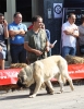Filename=IMG-4914.jpg
Filesize=127KiB
Dimensions=934x1200
Date added=%723 %12, %2012 IMG-4914.jpg