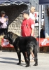 Filename=IMG-4915.jpg
Filesize=131KiB
Dimensions=842x1200
Date added=%723 %12, %2012 IMG-4915.jpg
