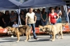 Filename=IMG-4916.jpg
Filesize=130KiB
Dimensions=1200x800
Date added=%723 %12, %2012 IMG-4916.jpg