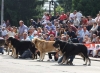 Filename=IMG-4929.jpg
Filesize=127KiB
Dimensions=1200x885
Date added=%723 %12, %2012 IMG-4929.jpg