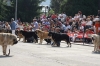 Filename=IMG-4930.jpg
Filesize=118KiB
Dimensions=1200x800
Date added=%723 %12, %2012 IMG-4930.jpg
