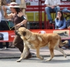 Filename=IMG-4942.jpg
Filesize=102KiB
Dimensions=1200x1162
Date added=%833 %14, %2012 IMG-4942.jpg