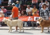 Filename=IMG-4947.jpg
Filesize=125KiB
Dimensions=1200x845
Date added=%833 %14, %2012 IMG-4947.jpg