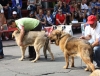 Filename=IMG-4948.jpg
Filesize=146KiB
Dimensions=1200x917
Date added=%833 %14, %2012 IMG-4948.jpg