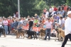 Filename=IMG-4954.jpg
Filesize=137KiB
Dimensions=1200x800
Date added=%833 %14, %2012 IMG-4954.jpg