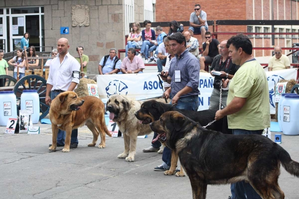 XXXII Monográfica Nacional AEPME, Villablino, León - 08.09.2012
Keywords: 2012