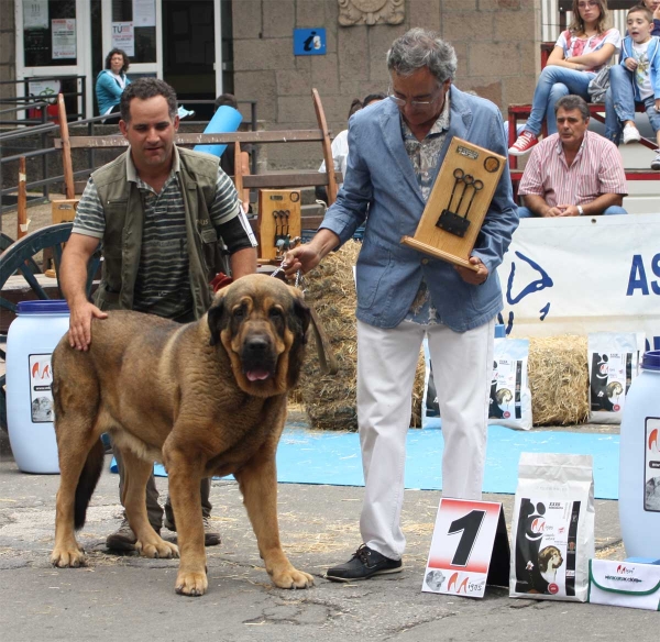 XXXII Monográfica Nacional AEPME, Villablino, León - 08.09.2012
Keywords: 2012