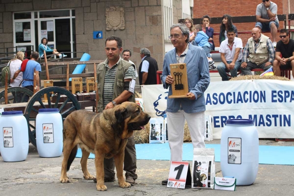 XXXII Monográfica Nacional AEPME, Villablino, León - 08.09.2012
Keywords: 2012