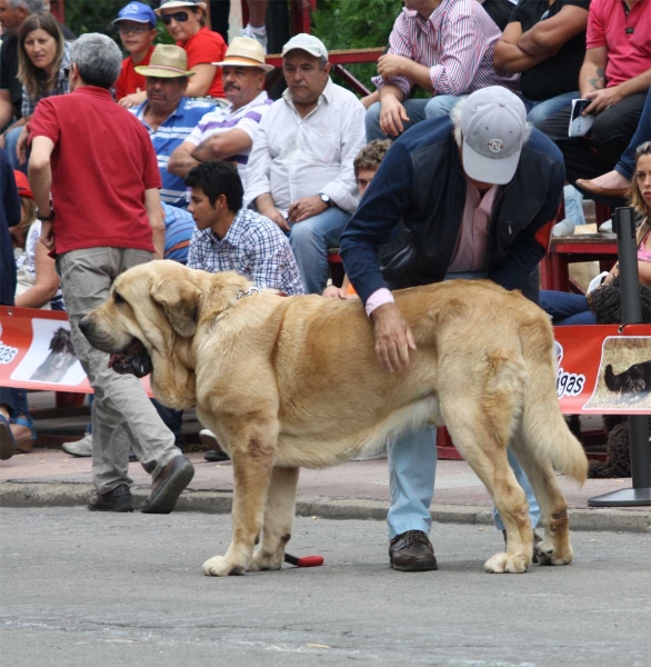 XXXII Monográfica Nacional AEPME, Villablino, León - 08.09.2012
Nøkkelord: 2012