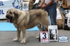 Filename=IMG-5094.jpg
Filesize=97KiB
Dimensions=1200x799
Date added=%494 %15, %2012 IMG-5094.jpg