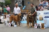 Filename=IMG-5096.jpg
Filesize=141KiB
Dimensions=1200x800
Date added=%494 %15, %2012 IMG-5096.jpg