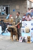 Filename=IMG-5098.jpg
Filesize=114KiB
Dimensions=800x1200
Date added=%494 %15, %2012 IMG-5098.jpg