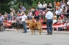 Filename=IMG-5112.jpg
Filesize=137KiB
Dimensions=1200x800
Date added=%494 %15, %2012 IMG-5112.jpg