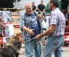 Filename=IMG-5125.jpg
Filesize=121KiB
Dimensions=1200x989
Date added=%494 %15, %2012 IMG-5125.jpg