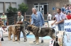 Filename=IMG-5130.jpg
Filesize=126KiB
Dimensions=1200x800
Date added=%494 %15, %2012 IMG-5130.jpg