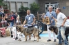 Filename=IMG-5133.jpg
Filesize=118KiB
Dimensions=1200x800
Date added=%494 %15, %2012 IMG-5133.jpg