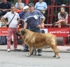 Filename=IMG-5142.jpg
Filesize=135KiB
Dimensions=1200x1146
Date added=%494 %15, %2012 IMG-5142.jpg