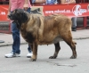 Filename=IMG-5144.jpg
Filesize=88KiB
Dimensions=1200x991
Date added=%746 %15, %2012 IMG-5144.jpg