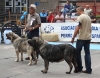 Filename=IMG-5150.jpg
Filesize=128KiB
Dimensions=1200x940
Date added=%746 %15, %2012 IMG-5150.jpg