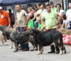Filename=IMG-5169.jpg
Filesize=132KiB
Dimensions=1200x1034
Date added=%746 %15, %2012 IMG-5169.jpg