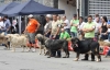 Filename=IMG-5172.jpg
Filesize=119KiB
Dimensions=1200x779
Date added=%746 %15, %2012 IMG-5172.jpg