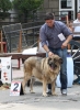 Filename=IMG-5186.jpg
Filesize=124KiB
Dimensions=886x1200
Date added=%746 %15, %2012 IMG-5186.jpg