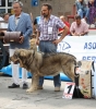 Filename=IMG-5187.jpg
Filesize=170KiB
Dimensions=1063x1200
Date added=%746 %15, %2012 IMG-5187.jpg