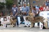 Filename=IMG-5189.jpg
Filesize=139KiB
Dimensions=1200x797
Date added=%746 %15, %2012 IMG-5189.jpg