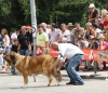 Filename=IMG-5195.jpg
Filesize=170KiB
Dimensions=1200x1042
Date added=%905 %15, %2012 IMG-5195.jpg